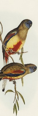 Fabric roller blind Two birds on a branch