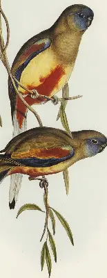Fabric roller blind two birds on a branch design