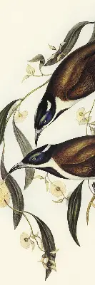 Modern roller blind birds on a tree pattern