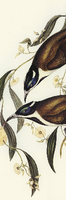 Modern roller blind Birds on a tree