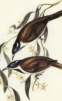 Modern roller blind birds on a tree pattern