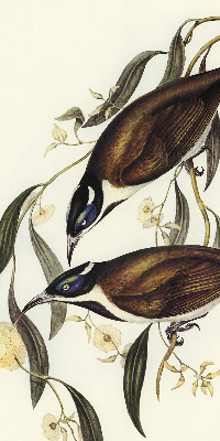 Modern roller blind Birds on a tree