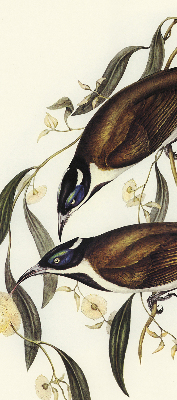 Modern roller blind Birds on a tree