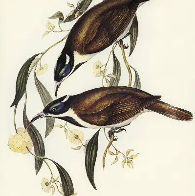 Modern roller blind birds on a tree pattern