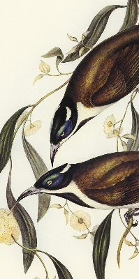 Modern roller blind Birds on a tree