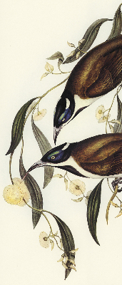 Modern roller blind Birds on a tree