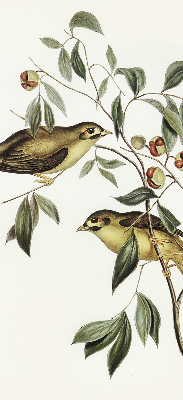 Fabric roller blind Birds on a tree