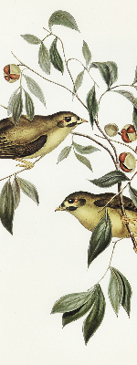 Fabric roller blind Birds on a tree