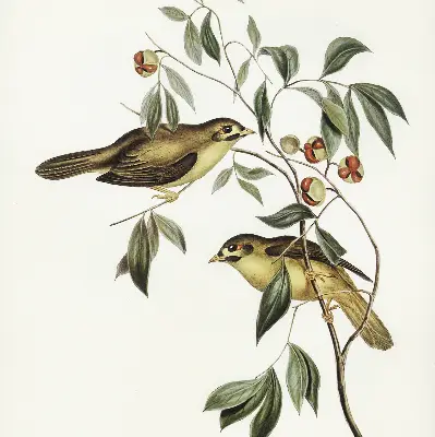 Fabric roller blind with birds on a tree pattern