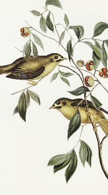 Fabric roller blind Birds on a tree