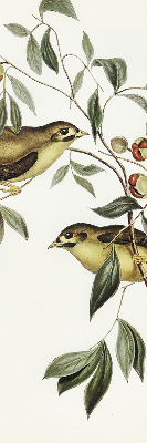 Fabric roller blind Birds on a tree