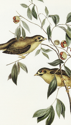Fabric roller blind Birds on a tree