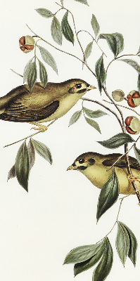 Fabric roller blind Birds on a tree