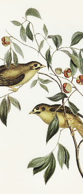 Fabric roller blind Birds on a tree