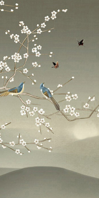 Modern roller blind Birds on a branch