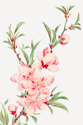 Modern roller blind Pink flower