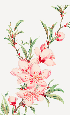Modern roller blind Pink flower