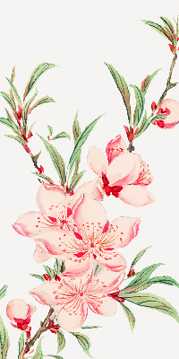 Modern roller blind Pink flower