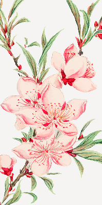 Modern roller blind Pink flower