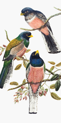 Roller blind for large window Birds on the branches