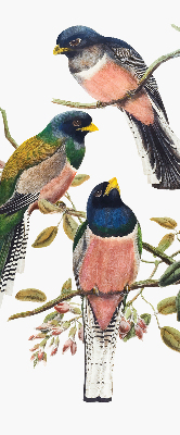 Roller blind for large window Birds on the branches