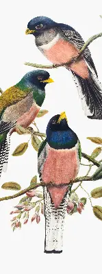 Roller blind for large windows with a birds on branches design