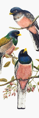 Roller blind for large window Birds on the branches