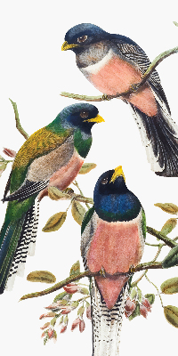 Roller blind for large window Birds on the branches