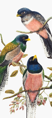Roller blind for large window Birds on the branches