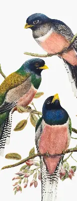 Roller blind for large windows with a birds on branches design