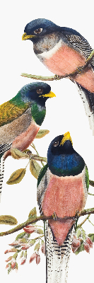 Roller blind for large window Birds on the branches