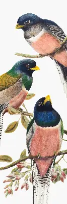 Roller blind for large windows with a birds on branches design