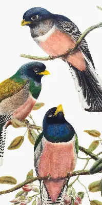 Roller blind for large windows with a birds on branches design