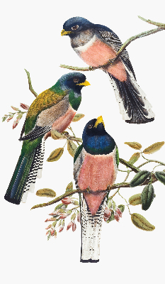 Roller blind for large window Birds on the branches