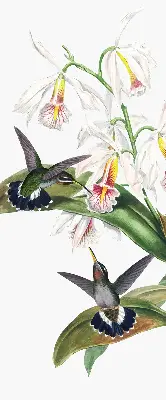 Fabric roller blind birds on a flower design