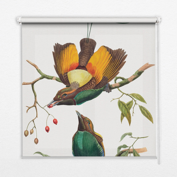 Modern roller blind Birds on a branch
