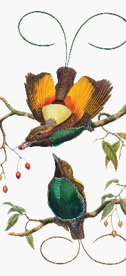 Modern roller blind Birds on a branch
