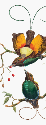 Modern roller blind Birds on a branch