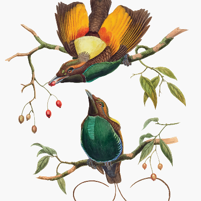 Modern roller blind Birds on a branch