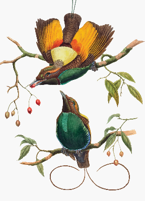 Modern roller blind Birds on a branch