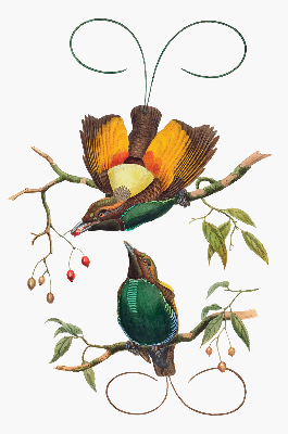 Modern roller blind Birds on a branch