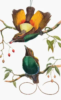 Modern roller blind featuring a birds on a branch print