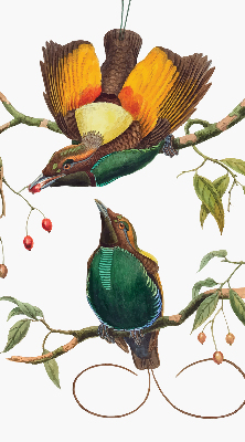 Modern roller blind Birds on a branch