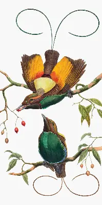 Modern roller blind featuring a birds on a branch print