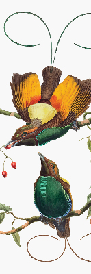 Modern roller blind Birds on a branch