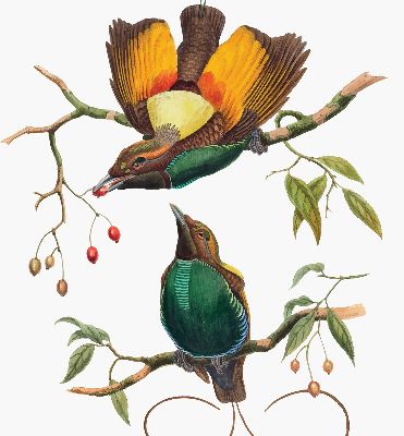 Modern roller blind Birds on a branch