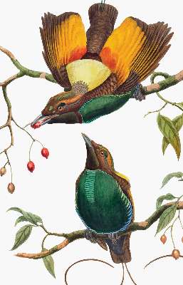 Modern roller blind Birds on a branch