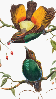 Modern roller blind Birds on a branch