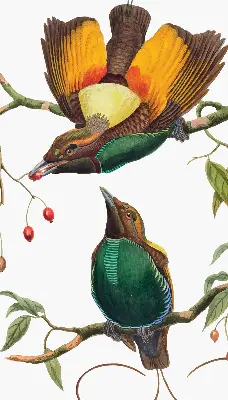 Modern roller blind featuring a birds on a branch print