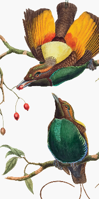 Modern roller blind Birds on a branch